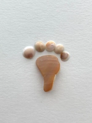 Barefoot Foot Print Natural Beach Shell Pebble Art Craft baby frame sign FS USA