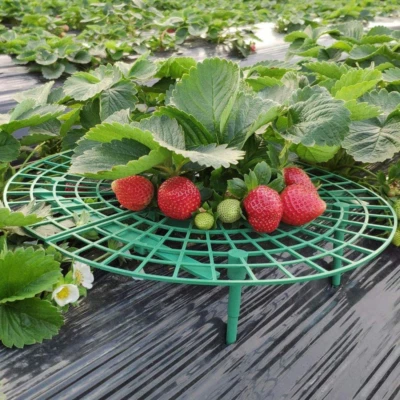 Strawberry Stand Frame Holder Balcony Planting Rack Fruit Support Plant Flower C