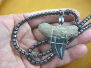 sr251-13) 2-1/4" Fossil AURICULATUS SHARK TOOTH TEETH hematite 20" bead necklace