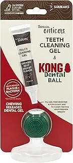 TropiClean Kong Enticers Dental Ball & Smoked Beef Brisket Gel for Small Dogs