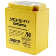 Polaris Sportsman Ace 570 2014 Motobatt Quadflex 12V Battery