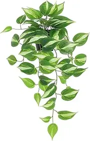 LuckyGreenery Artificial Devil's Ivy Golden Pothos Fake Plant,Hanging Potted Plants for Wall Home Patio Indoor Outdoor Decor(H 26in), Green