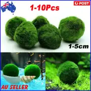 Marimo Moss Ball Cladophora Live Aquarium Plant Fish Aquarium Plant Decor 3 Szie