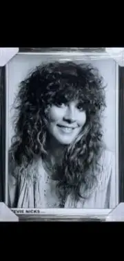 Stevie Nicks Poster Framed