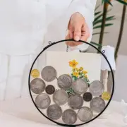 Glass Coin Holder for Display Morgan Silver Dollar Coin - Wall Hanging Organi...