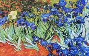 Needlepoint Tapestry Painted Canvas Gobelin 14282 Irises. 24"x36" by CDA.