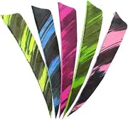 Archery 4 Inch Arrow Turkey Feather Shield Stripe Fletchings Fletches Right Wing Arrow Feathers Vanes for DIY Hunting Arrows 50 Pieces