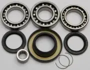 All Balls Racing Differential Bearing and Seal Kit Rear 25-2061