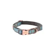 Rogz Urban Classic Collar For Dogs - Turquoise Medium