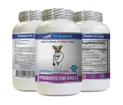 bad dog breath remedy - DOG PROBIOTICS - dog probiotics bad breath 1B