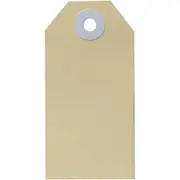 Avery 13000 Shipping Tag Size 3 96x48mm Buff Box 1000