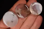 3 *DENDRITIC AGATE* Flat Stones 2-3cm 23.8g MERLINITE Chalcedony Palm Natural