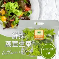 在飛比找台灣好農優惠-新湖合作農場 鮮採萵苣生菜250g*2袋