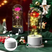 2 In 1 Rose Flowers LED Strip Light & Bluetooth Speaker Romantic Decoration 2025