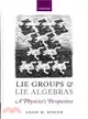 Lie Groups and Lie Algebras—A Physicist's Perspective