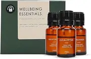 Green Velly Essential Oil For Diffuser | Home Fragrance Diffuser Oil | Diffuser Oil, Candle Burner & Electric Diffuser for Home Fragrance Candle | Set of 3 - Bergamot, Eucalyptus, Mandarin Oil |10 ml Each