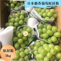 在飛比找樂天市場購物網優惠-【緁迪水果JDFruit】日本香印麝香葡萄(原封箱5kg+-