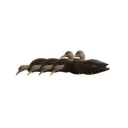 Avian X AXF Flocked Full Body Black Ducks Fusion Pack with Rugged Durability ...