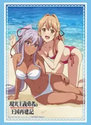 How a Realist Hero Rebuilt the Kingdom Anime Card Sleeves Vol.3383 *NEW* 75ct