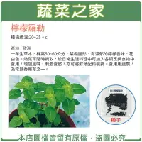 在飛比找樂天市場購物網優惠-【蔬菜之家】K40.檸檬羅勒種子(共有2種包裝可選)