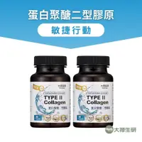 在飛比找蝦皮商城優惠-【大荷生研】蛋白聚醣二型膠原膠囊 30粒/瓶 ×2瓶(專利K