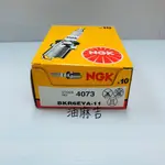 油麻吉 1顆100元 NGK BKR6EYA-11 火星塞 PREMIO 2.0 EXSIOR 2.0