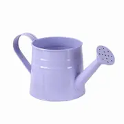Metal Mini Watering Can Planter Flower Container Rustic Multipurpose 9.6x4.5inch for Outdoor Indoor Decoration Smooth Surface Purple