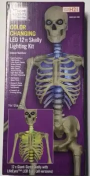 12 Ft Skeleton Skelly LED Home Accents Holiday Lighting Kit