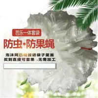 在飛比找樂天市場購物網優惠-【白色芭樂套袋一體袋-大果專用厚款-500套/件-1件/組】