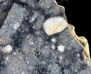 RARE LUNAR Meteorite "APOLLO 16" Gadamis 003! FULL 16.5g Slice of the MOON!