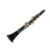 Axiom Piccolo Clarinet E Flat Clarinet