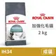 【法國皇家 Royal Canin】(IH34) 加強化毛貓 2公斤 (貓飼料)