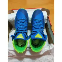 在飛比找蝦皮購物優惠-賠售，全新~耐吉 NIKE HYPERDUNK 2015 藍