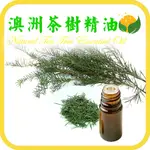 澳洲茶樹精油 天然單方精油 茶樹精油 正草本精油 NATURAL TEA TREE ESSENTIAL OIL