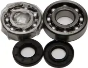 All Balls Crankshaft Bearing and Seal Kit 24-1007