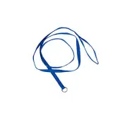 Groomer Essentials 6' Slip Lead for Small Dogs - Blue Slip Leads Kennel