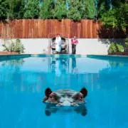 SPARKS - Hippopotamus (Vinyl 2LP) 2017 BGU96599 NEW / SEALED / DING