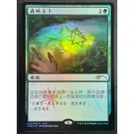 [LUCKY] 🌸魔法風雲會 MTG🌸 (FNM) ✨ 森林占卜 SYLVAN SCRYING