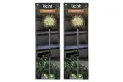 2PK Licht Eco Lighting Solar Dandelion Light Colour Changing Warm WHT LED 70cm