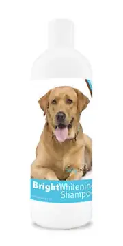 Healthy Breeds Labrador Retriever Bright Whitening Shampoo 12 oz