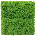 Fresh Natural Green Artificial Moss Vertical Garden / Green Wall UV Resistant 1m x 1m