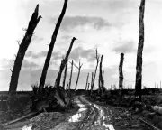 New 8x10 World War I Photo: Post War Ruins in Poelcapelle, Belgium - 1918