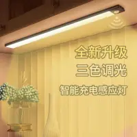 在飛比找樂天市場購物網優惠-人體感應燈酒柜充電臥室床邊櫥柜過道長條衣柜樓梯自動超薄感應燈