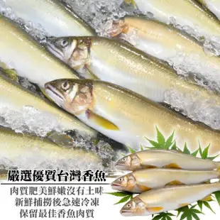 【三頓飯】宜蘭鮮凍大香魚(共24尾_8尾/920g/盒)