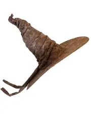 Classic Wizard Sorting Hat