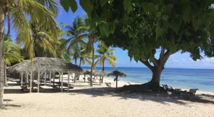 Appartement vue mer Anse des rochers