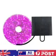 5M Plant Growth Light 2835 SMD LED Grow Light Strip for Indoor Greenhouse Plants