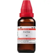 Willmar Schwabe Homeopathy Uva Ursi Mother Tincture Q (30 ML)