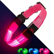 Light Up Dog Collar (Pink, M)