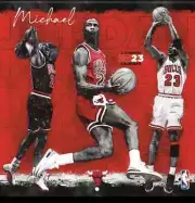 = BRAND NEW SEALED = 16 month MICHAEL JORDAN MJ 2023 23 CALENDAR CHICAGO BULLS